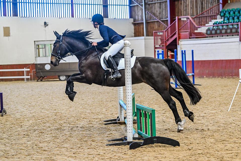 Equestrian Jobseeker Photo: