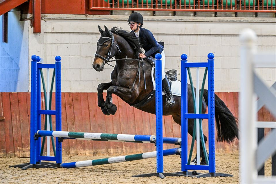 Equestrian Jobseeker Photo: