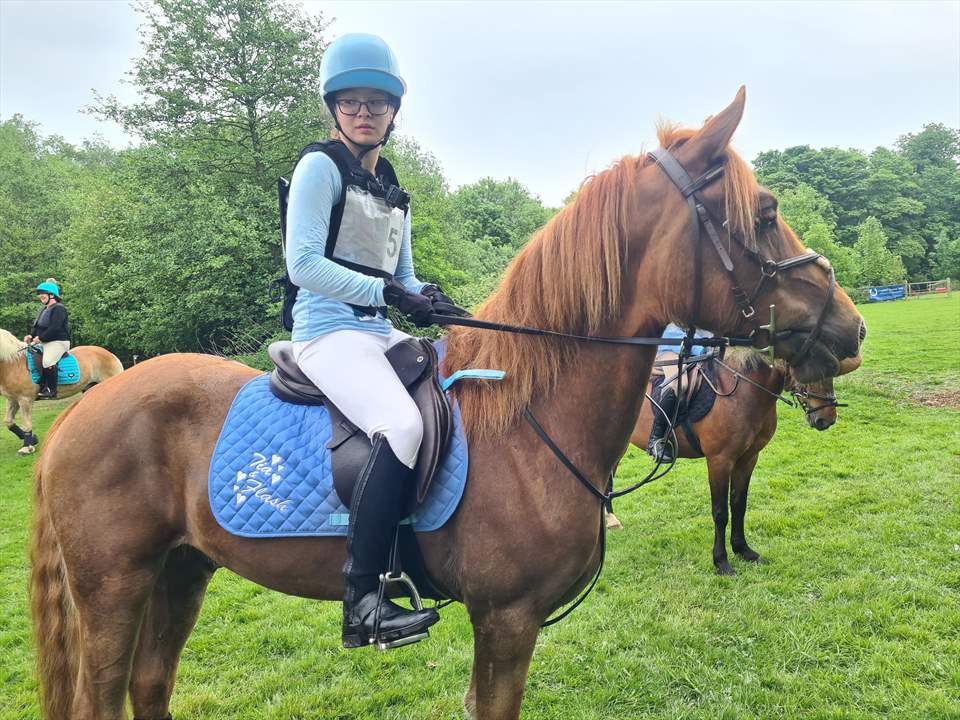 Equestrian Jobseeker Photo: