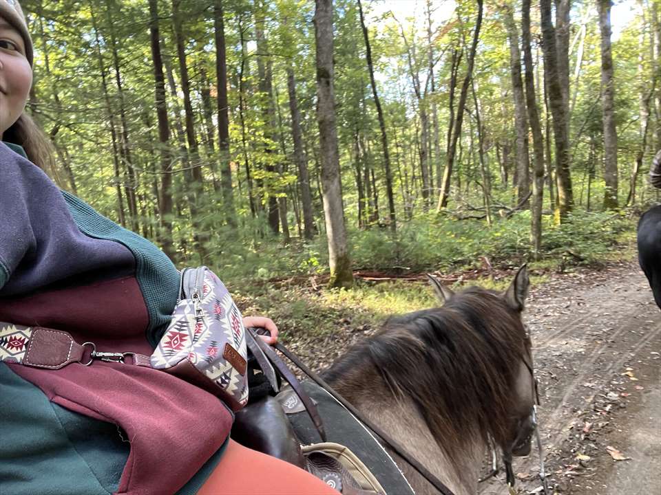 Equestrian Jobseeker Photo: