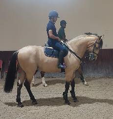 Equestrian Jobseeker Profile Photo