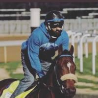 Equestrian Jobseeker Profile Photo