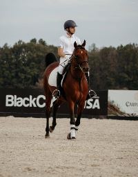 Equestrian Jobseeker Profile Photo