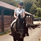 Equestrian Jobseeker Profile Photo