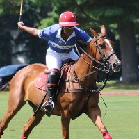 Equestrian Jobseeker Profile Photo