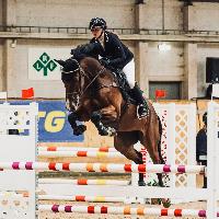 Equestrian Jobseeker Profile Photo