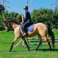 Equestrian Jobseeker Profile Photo
