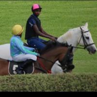 Equestrian Jobseeker Profile Photo