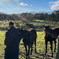 Equestrian Jobseeker Profile Photo