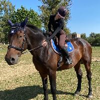 Equestrian Jobseeker Profile Photo