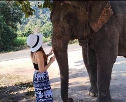 Equestrian Jobseeker Profile Photo