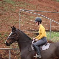 Equestrian Jobseeker Profile Photo