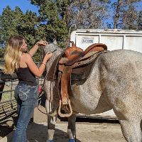 Equestrian Jobseeker Profile Photo