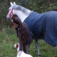 Equestrian Jobseeker Profile Photo