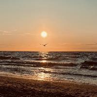 Equestrian Jobseeker Profile Photo