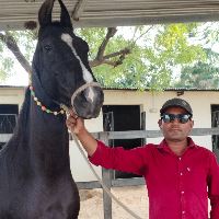 Equestrian Jobseeker Profile Photo