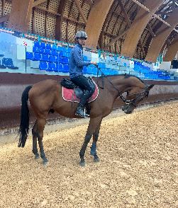 Equestrian Jobseeker Profile Photo