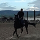 Equestrian Jobseeker Profile Photo