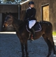 Equestrian Jobseeker Profile Photo