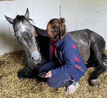 Equestrian Jobseeker Profile Photo
