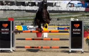 Equestrian Jobseeker Profile Photo