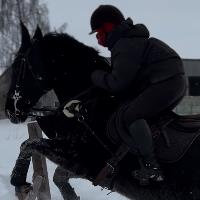 Equestrian Jobseeker Profile Photo