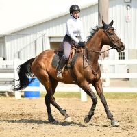 Equestrian Jobseeker Profile Photo