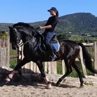 Equestrian Jobseeker Profile Photo
