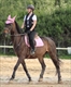 Equestrian Jobseeker Profile Photo
