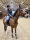 Equestrian Jobseeker Profile Photo