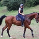 Equestrian Jobseeker Profile Photo