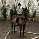 Equestrian Jobseeker Profile Photo