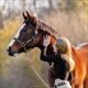 Equestrian Jobseeker Profile Photo