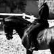 Equestrian Jobseeker Profile Photo