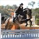 Equestrian Jobseeker Profile Photo