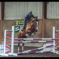 Equestrian Jobseeker Profile Photo