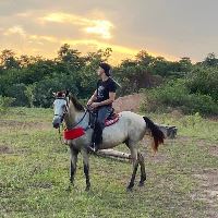 Equestrian Jobseeker Profile Photo