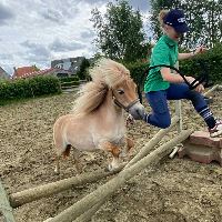 Equestrian Jobseeker Profile Photo