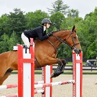 Equestrian Jobseeker Profile Photo