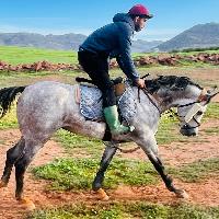 Equestrian Jobseeker Profile Photo
