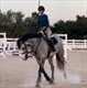 Equestrian Jobseeker Profile Photo