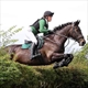 Equestrian Jobseeker Profile Photo