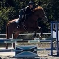 Equestrian Jobseeker Profile Photo