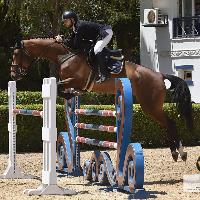 Equestrian Jobseeker Profile Photo