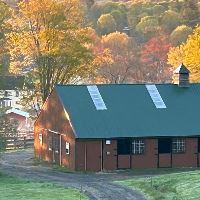 Equestrian Employer Profile Photo