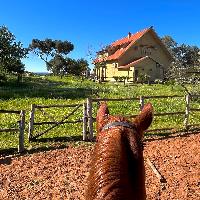 Equestrian Jobseeker Profile Photo