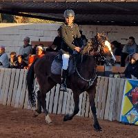 Equestrian Jobseeker Profile Photo