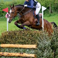 Equestrian Jobseeker Profile Photo