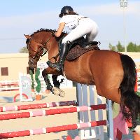 Equestrian Jobseeker Profile Photo