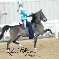 Equestrian Jobseeker Profile Photo